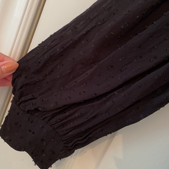 Zara Sheer Blouse - Picture 2 of 5